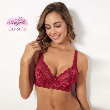Bra with elastic lace